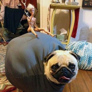 Meet your Posher, Deborah